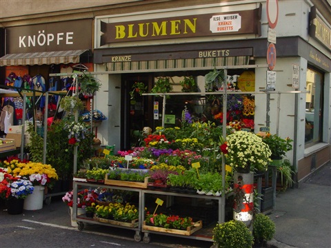 Blumen Weiser