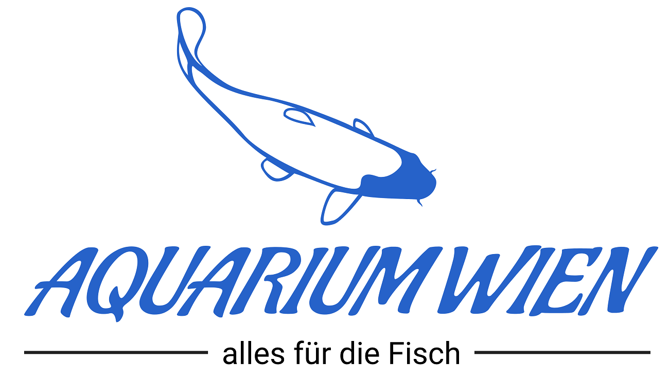 Aquarium Wien, Claudio Fernando Ilave Alvarado